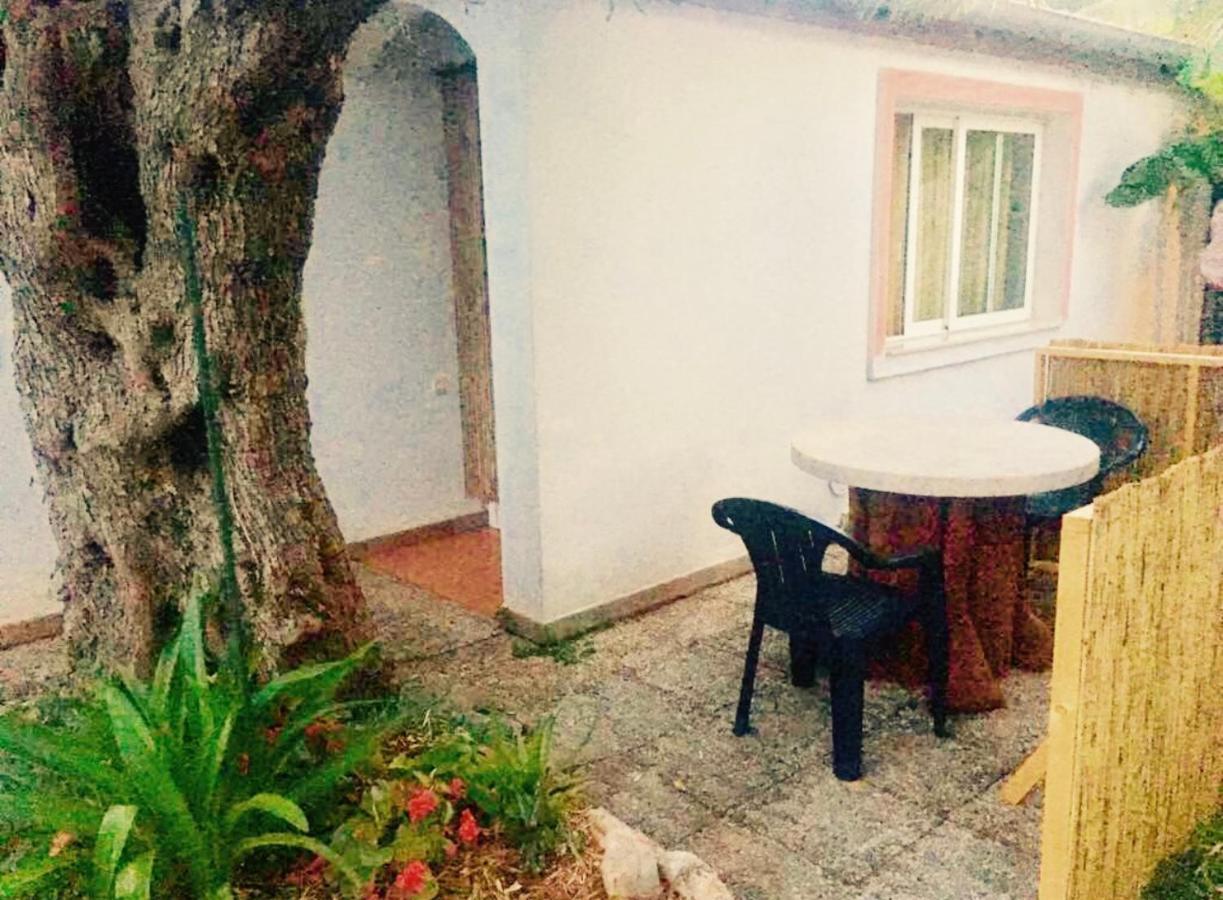 Olive Tree Apartments Rovinj Eksteriør billede